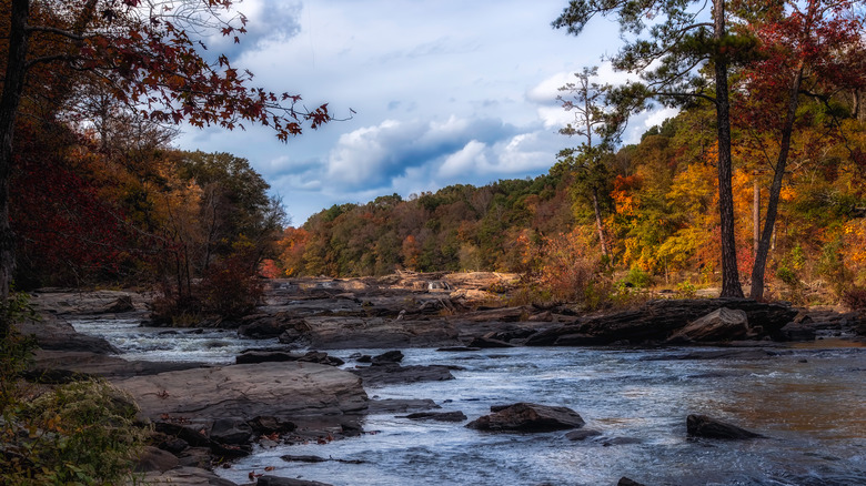 Sweetwater Creek State Park in fall