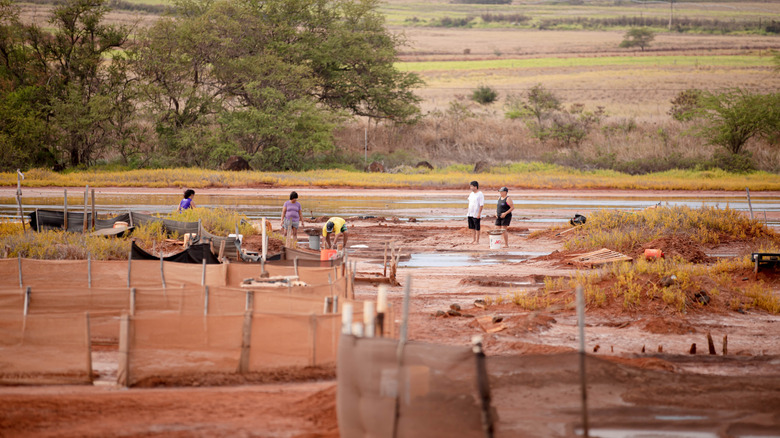 Hanapepe salt flats, Kauai