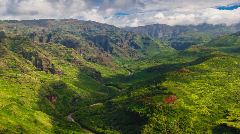 Waimea Canyon State Park, Kauai