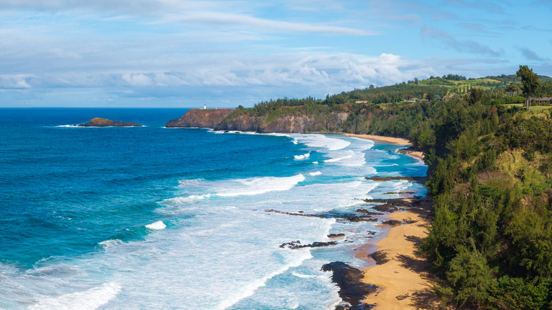 Aerial view of Secret Beach on Kauai