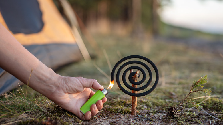 Person igniting bug repellent coil
