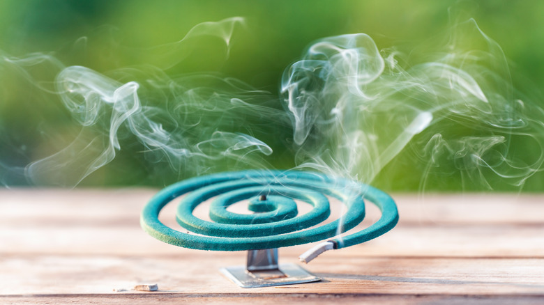 Smoldering mosquito coil in summer garden on wooden table