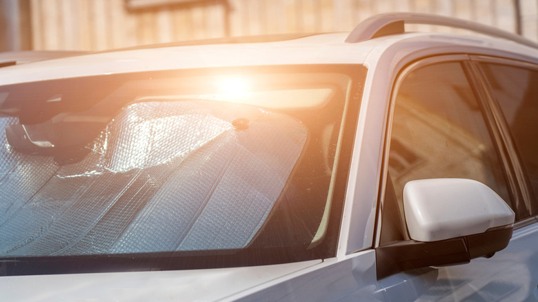 Windshield cover