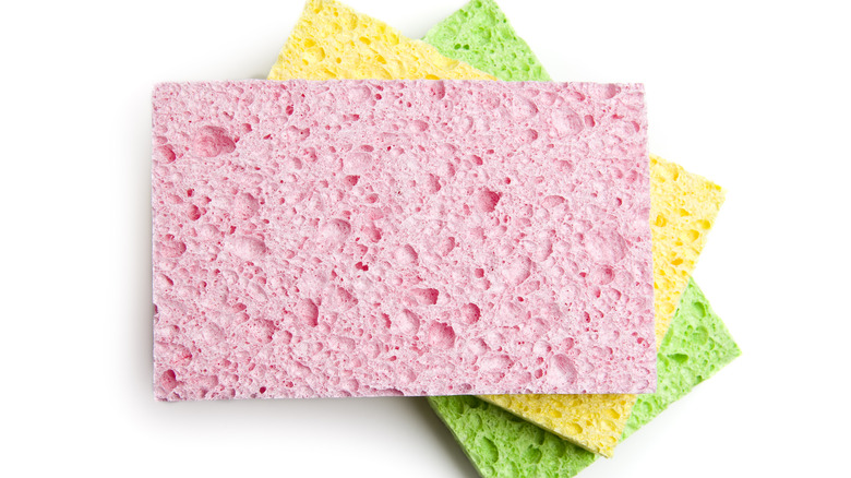 A pile of sponges