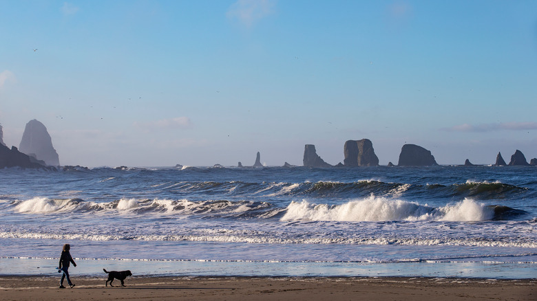 Swells of La Push beach