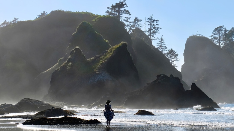 Dramatic cliffs of La Push