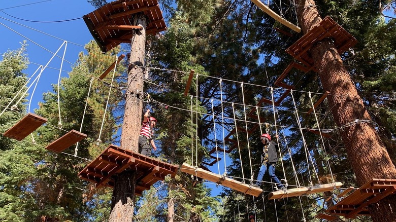 A kid crosses a wobbly bridge between trees at Tahoe Treetop Adventure Parks