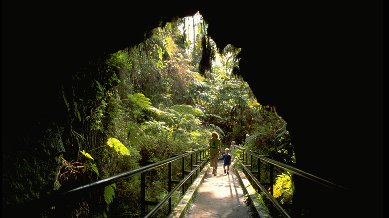 Nāhuku lava tube in Hawaii