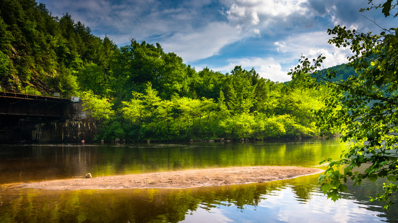 The Lehigh River surrounded by trees and the Lehigh Gorge in Lehigh Gorge State Park in Pennsylvania