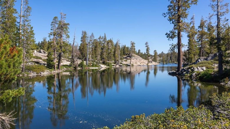 A lake lined by boulders and tall pine trees at Loch Leven