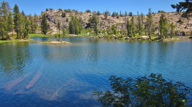 Lake with trees and rocks around it