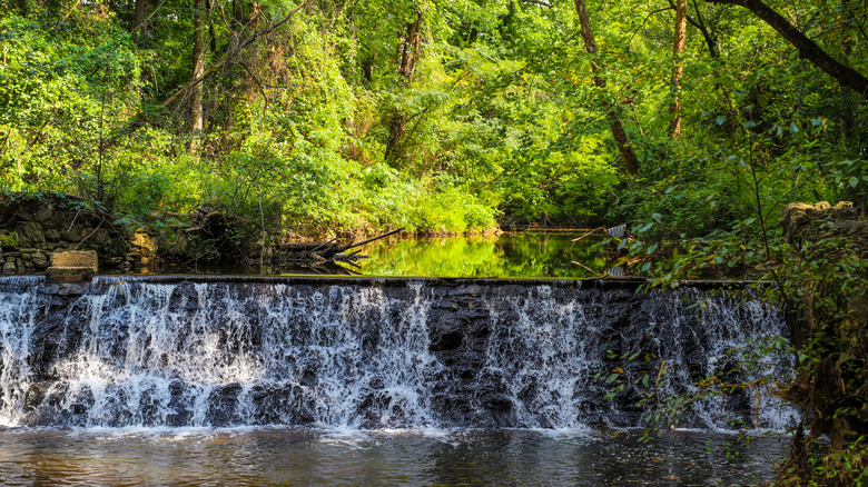 the waterfall on Candler Lake in Lullwater Preserve, Atlanta