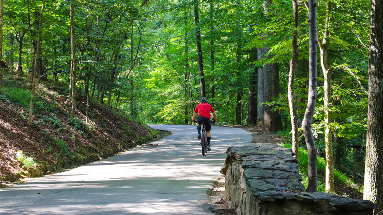 a man in a red shirt cycling along the trail in Lullwater Preserve, Atlanta