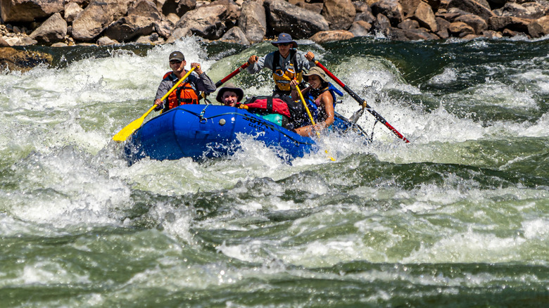 Whitewater rafters on the Salmon River