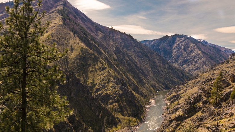 Canyon in the Frank Church Wilderness