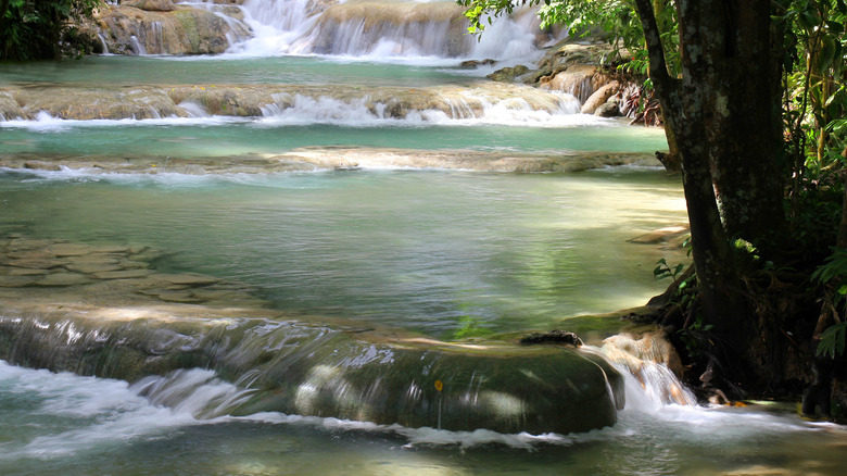 Dunn's River Falls in Ocho Rios, Jamaica