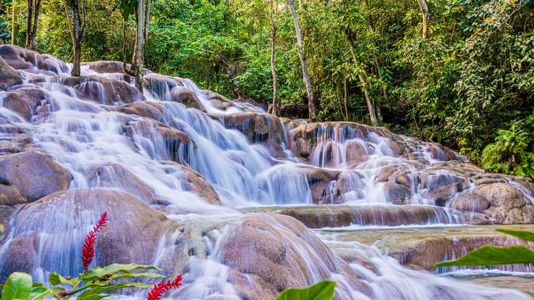 Dunn's River waterfall with rock and and trees view
