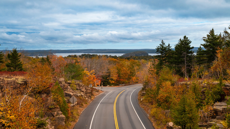 Views from a Scenic Drive through Acadia National Park, Bar Harbor, Maine