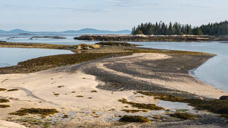 Low tide at Vinalhaven, Maine
