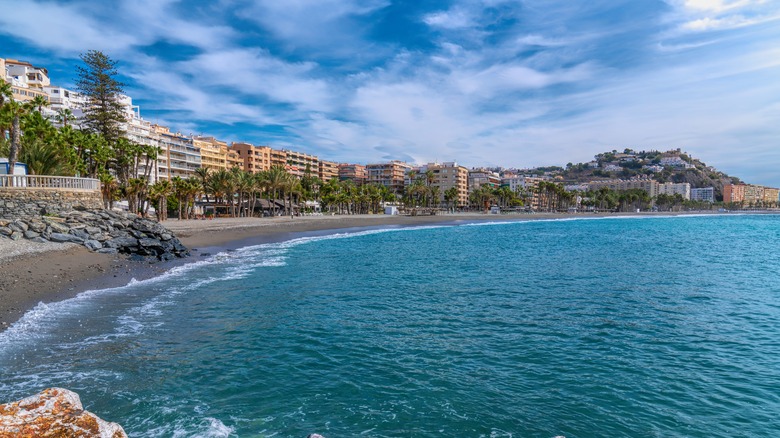 City beach lined with palm trees
