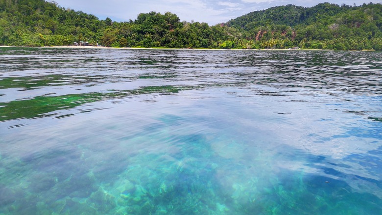 Coral reefs and turquoise water off the coast of Gaya Island Resort