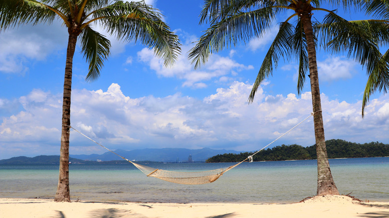 Two palm trees with a hammock on the beach in Gaya Island