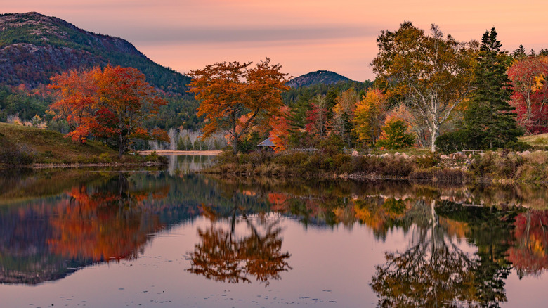 Mount Desert Island, Seal Harbor scenery