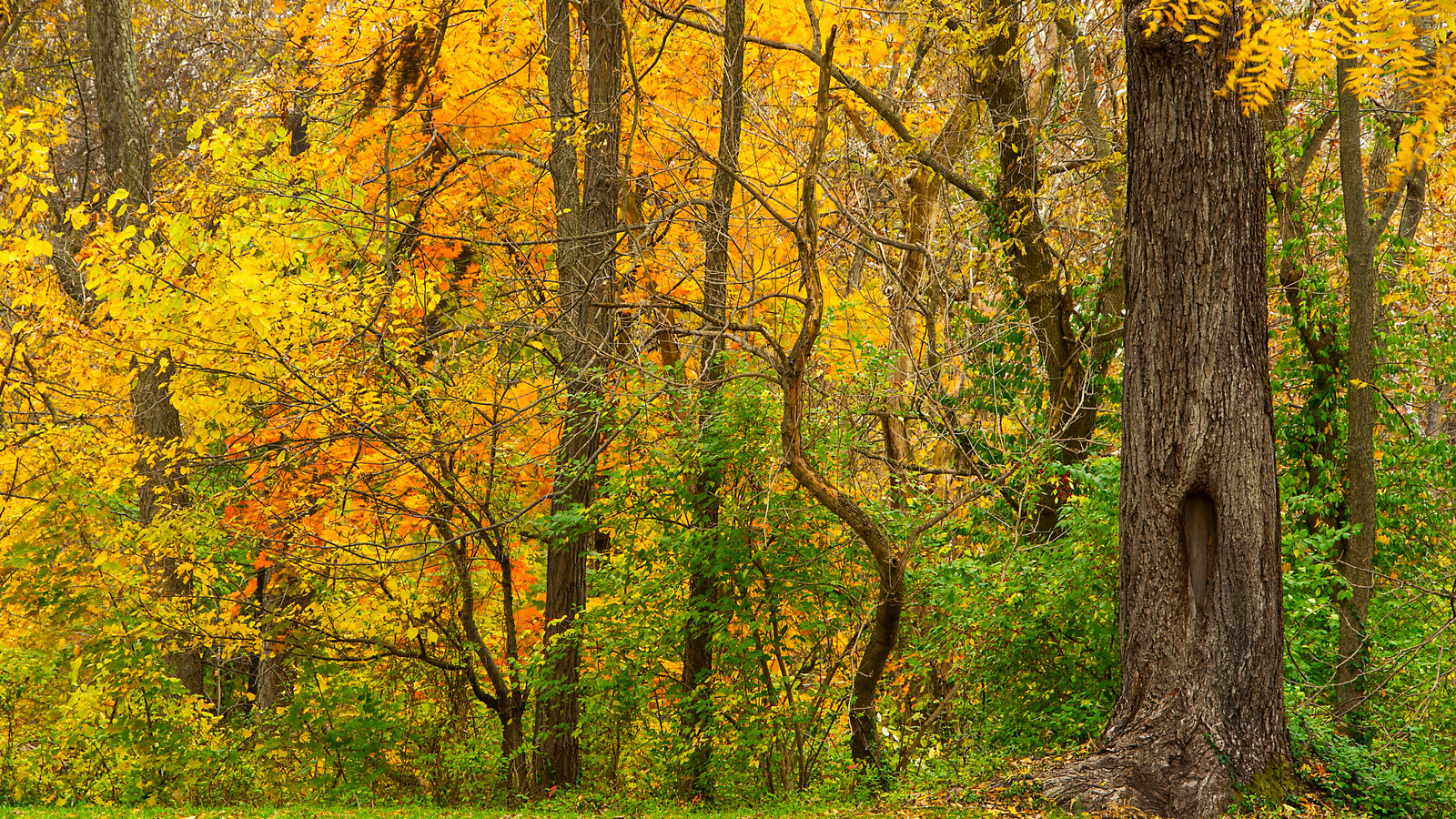 Maryland's Gorgeous Park In The Blue Ridge Mountains Offers Picturesque ...