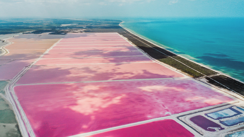 Pink lakes of Las Coloradas separated from the sea by a strip of green jungle
