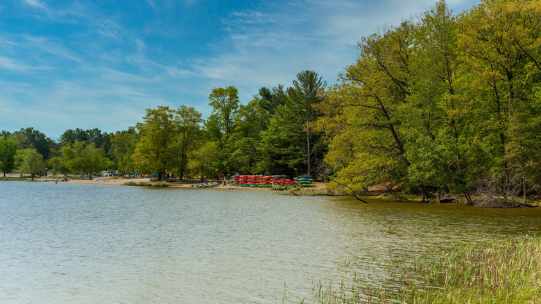Hamlin Lake Beach area, water plus sandy beach with watercrafts on it, green trees throughout