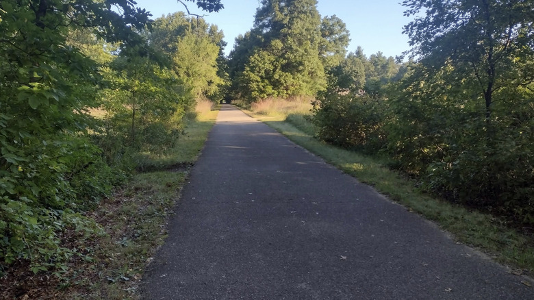 The paved trail through trees in shade in Fred Meijer White Pine Trail State Park.