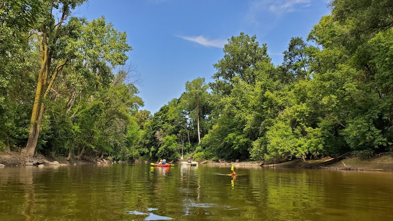 kayakers on river in lush forest in Mott Park Recreation Area near Flint, Michigan