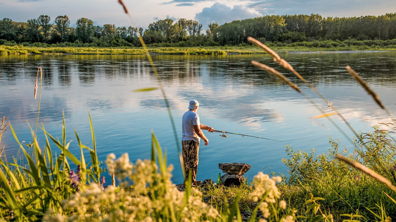 A man casting a fishing line into a wetland pond.