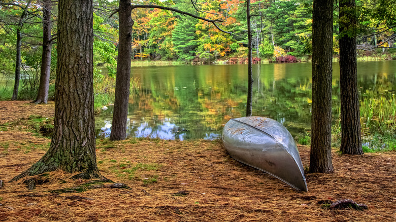 A canoe on the side of Lake Hamlin in the fall