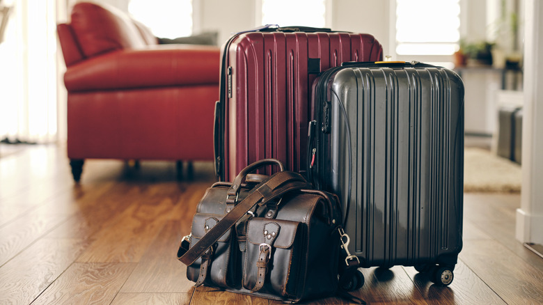 Two suitcases ready to go