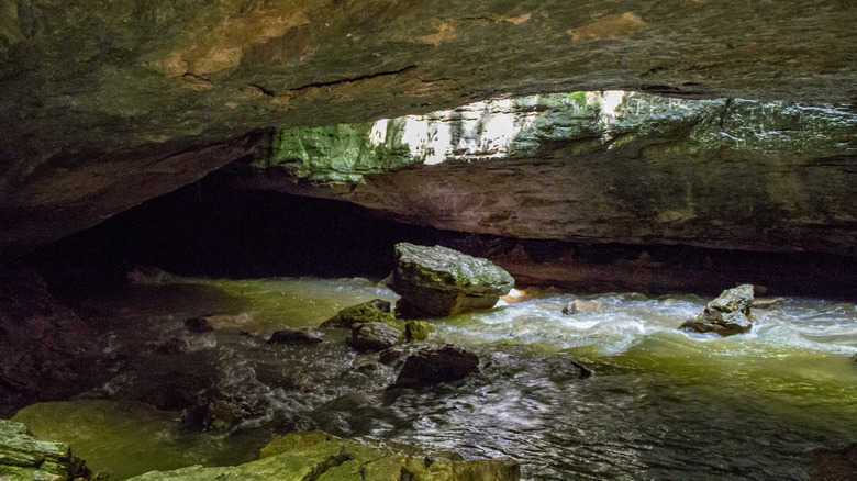 A stream flowing through a cave with a natural rock bridge overhead in Rock Bridge Memorial State Park