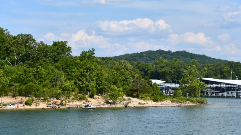 People, boats, trees, and a marina on the shores of Table Rock Lake at Table Rock State Park in Branson, Missouri