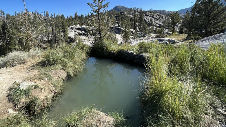 a natural hot spring at Mono Hot Springs
