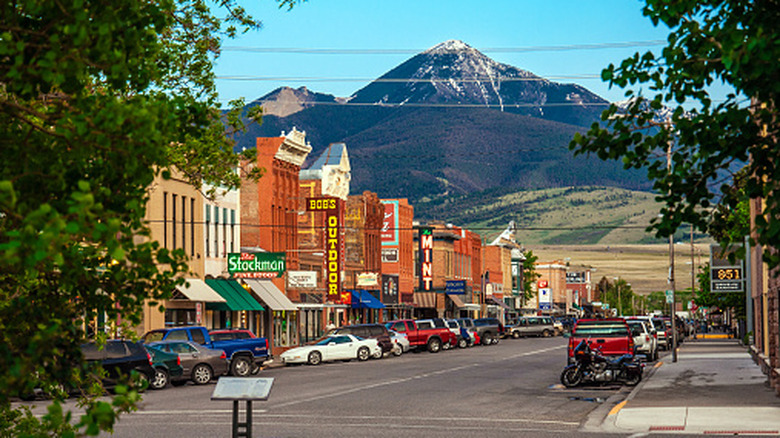 the town of Livingston in Montana