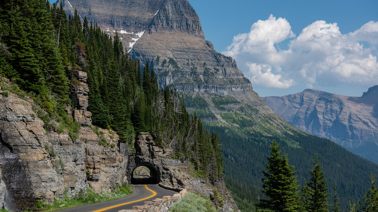 a road passes through a small tunnel in amongst mountains and forest