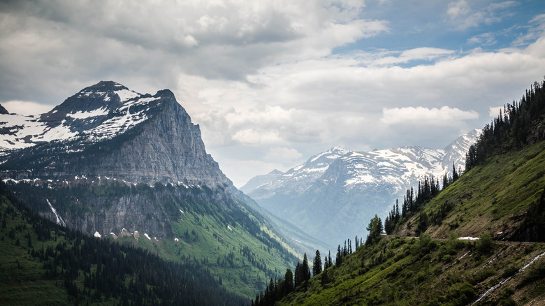 a deep pine clad valley stretches between snow capped mountains