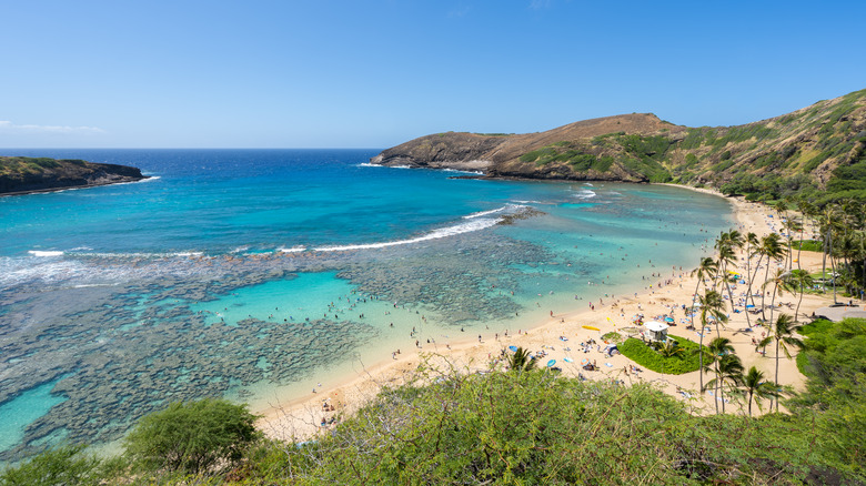 Most Beautiful US Beaches For Snorkeling