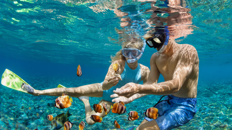 Couple goes snorkeling