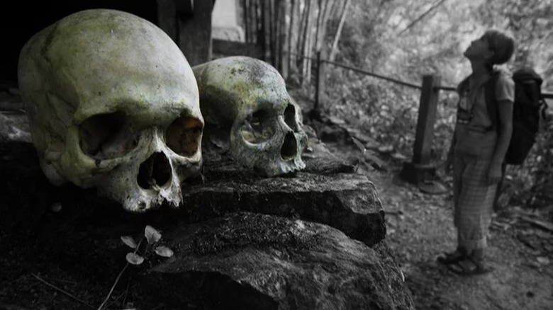 Skulls