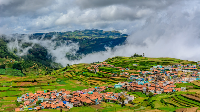 Aerial of rural neighborhood in Ooty