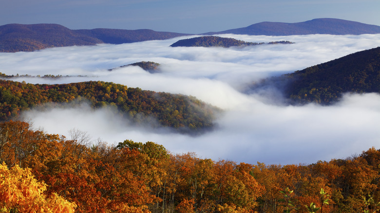 The Blue Ridge Mountains