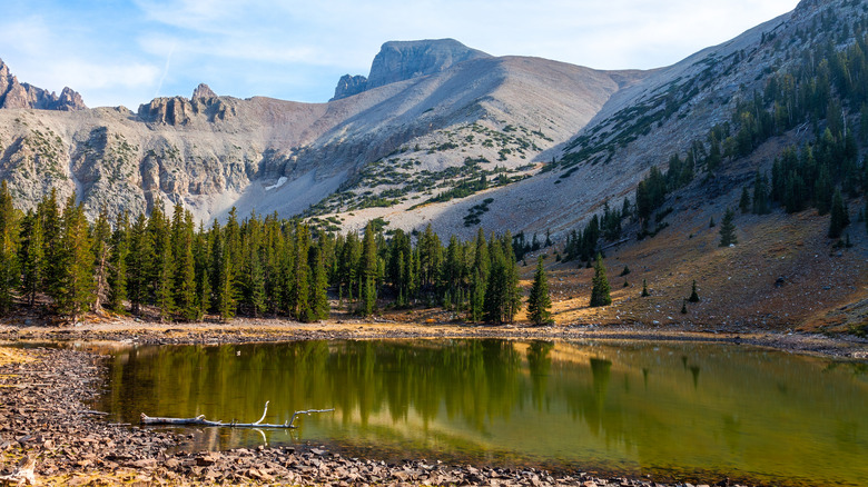 Great Basin National Park trail