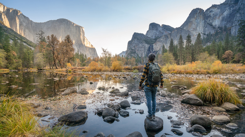 Traveler in Yosemite Valley