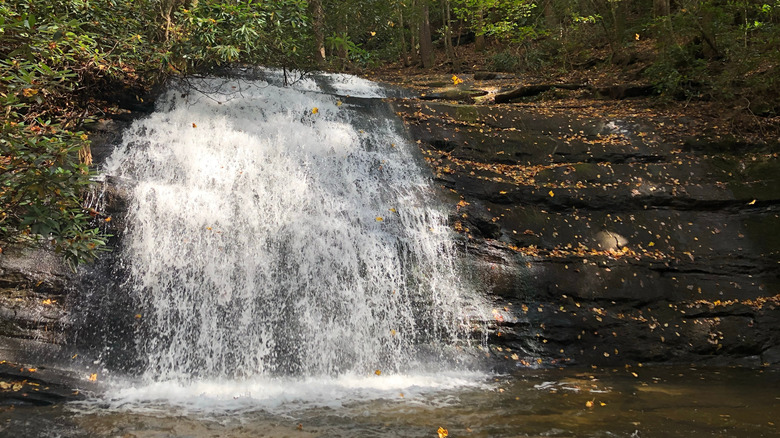 Long Creek Falls, a waterfall along the Appalachian Trail in Blue Ridge, Georgia