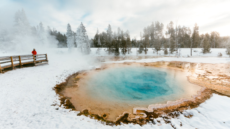 Tourist observing a hot spring from a boardwalk